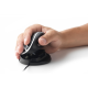 Oyster Mouse Large - ergonomische muis