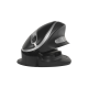 Oyster Mouse Large Wireless